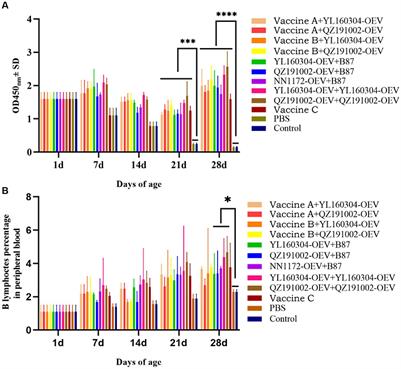 The complete protections induced by the oil emulsion vaccines of the novel variant infectious bursal disease viruses against the homologous challenges indicating the important roles of both VP2 and VP1 in the antigenicity and pathogenicity of the virus